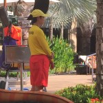 The pool lifeguard