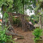 The Spirit Gate