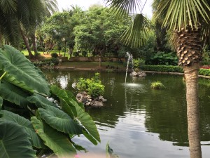 A pond in the hotel grounds