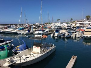 A marina on our walk