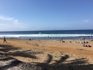 IMG_1665