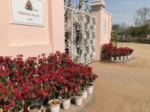 The back entrance to the Sujan Rahmahal Palace!