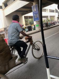 Cycle Rickshaws are all the rage!