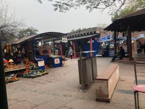 That's the cultural shot at Dilli Haat!