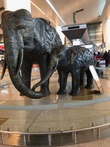 Elephants in Indira Gandhi International Airport