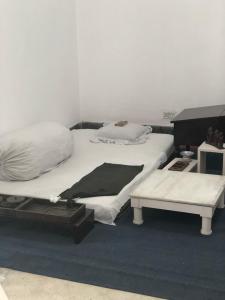 IMG 0887