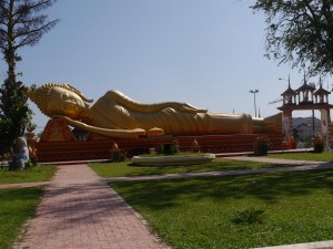 P1010887